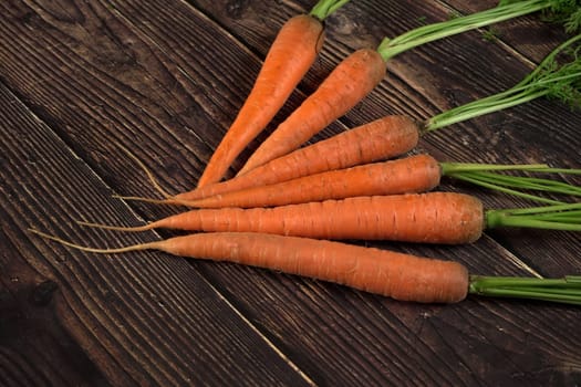 Fresh organic carrot roots on dark wooden board