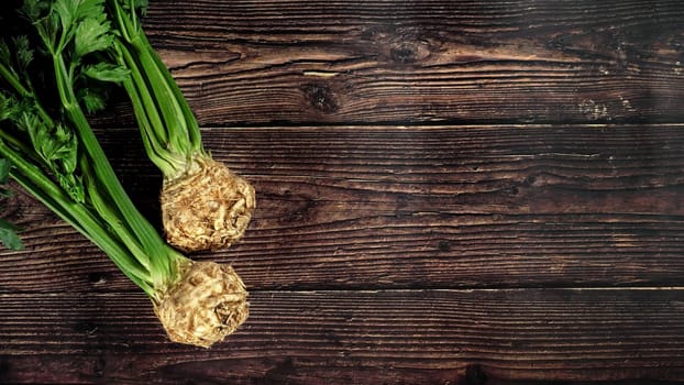 Celeriac (turnip rooted celery) roots with green leaves on dark wooden rustic board, photo from above - wide banner with space for text right side