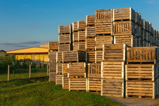 A large stack of wooden boxes for picking apples in an apple orchard on a Belarusian farm.