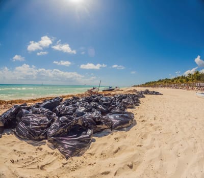 Playa del Carmen Quintana Roo Mexico 01. June 2021 beautiful Caribbean beach totally filthy and dirty the nasty seaweed sargazo problem in Playa del Carmen Quintana Roo Mexico.