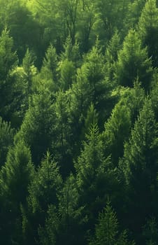 green forest textured monochromatic background, generative ai. High quality photo