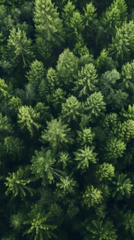 green forest textured monochromatic background, generative ai. High quality photo