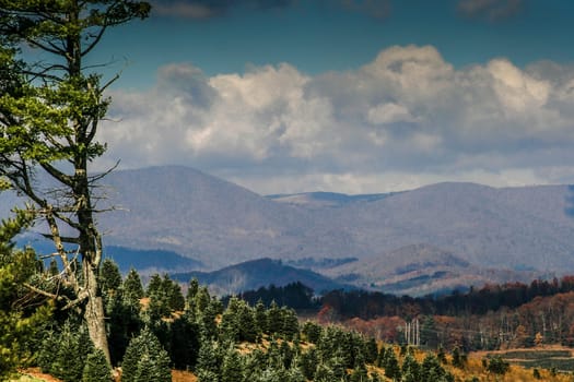 Blue Ridge Mountains in Autumn, North Carolina