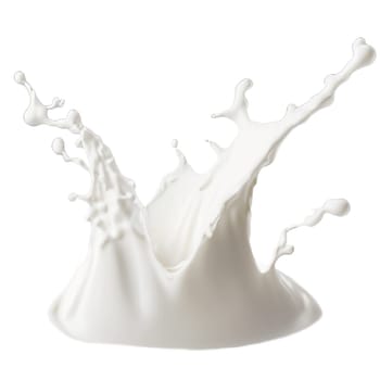 Pouring milk splash isolated on white background. Splash of milk or cream isolated on white background With clipping path. High quality image