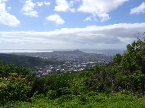 A breathtaking view of Honolulu cityscape with Diamond Head crater in the background, lush greenery in the foreground, and a sky adorned with fluffy clouds.