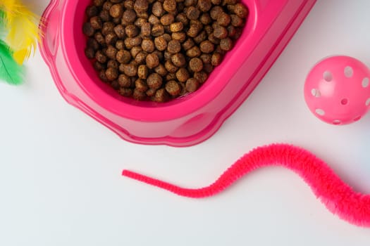 Bowl with dry pet food isolated on white background close up