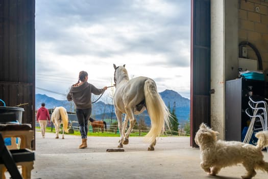 People walking with horses on a ranch and a small dog follow them
