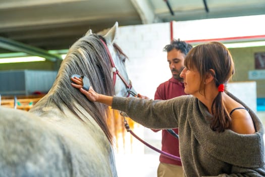 Woman grooming the mane of a horse in stable next to a colleague