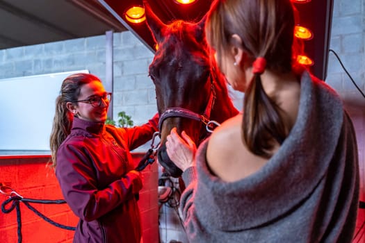 Horse and two women in an innovative solarium with red warmth lights for animals