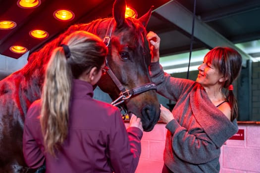 Women with horse in an innovative animal solarium in a rehabilitation center
