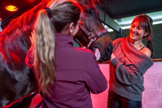 Women and horse under the warmth and light of a solarium in a rehabilitation center