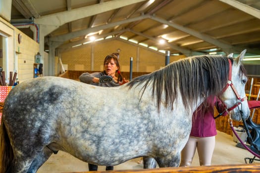 Side view of a woman and man brushing a horse in stable