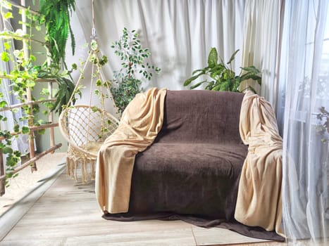 Stylish living room interior with cozy sofa, houseplant in winter garden and elegant curtains