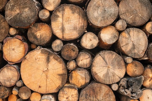 Wall made with a pile of chopped logs of different sizes. log pile background