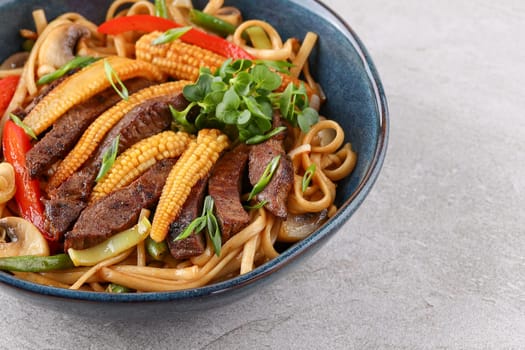 Udon with veal studio shooting on a stone background 1