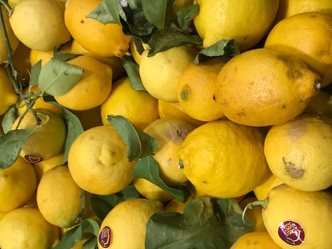 Fresh lemon fruits as a background, top view. Background of freshness lemons. Mediterranean diet, vitamin C. Lemon harvest, many yellow lemons. High quality photo