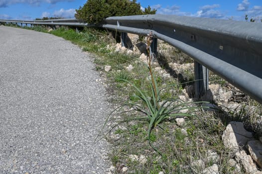 road in the mountains of Northern Cyprus in winter 9