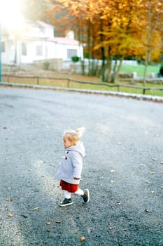 Little girl walks along the road in the autumn park. Side view. High quality photo