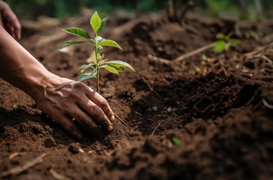 hands from a close-knit community come together to plant a young sapling, symbolizing collective growth, environmental stewardship, and the nurturing bond between people and nature.Generated image.