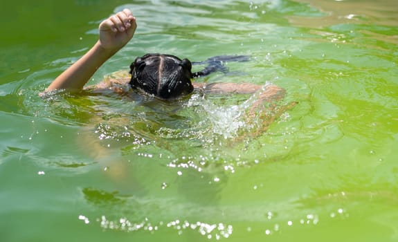 little girl in the green water of very dirty pool.