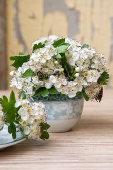 still life of small bouquet of a branch of blooming hawthorn in vase on an old dilapidated windowsill, romantic mood and spring freshness, comfort in the home, everyday decoration, high quality photo