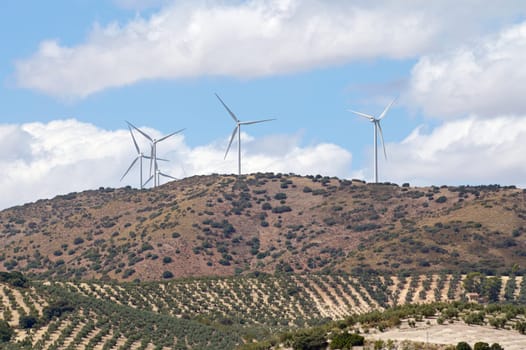 Green energy wind farms with rotating high wind turbines for generation electricity, on high mountains among olive groves, over blue cloudy sky background. Green ecological power energy generation.