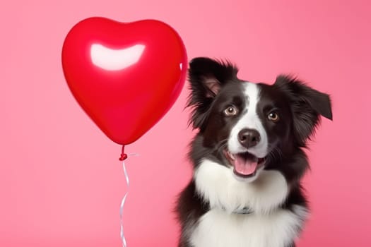 Adorable border dog with hear shape balloon. love and romance, valentine's concept, AI Generative.