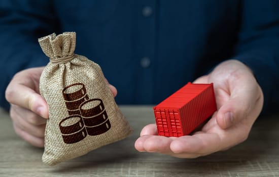 A man holds a shipping container and a money bag. Transportation and freight of goods and cargo through ports or overland routes. Trade and delivery. Distribution logistics worldwide.