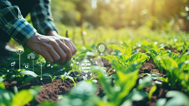 technology in farming, Precision farming system uses artificial intelligence to optimize crop yields.