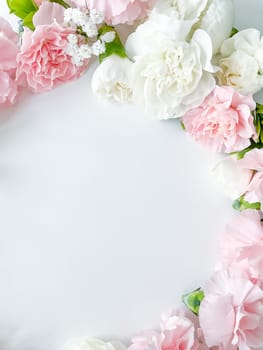 Close up photo of a bouquet of pink and white carnations isolated on a white background. With empty space for text or inscription. For postcard, advertisement or website.