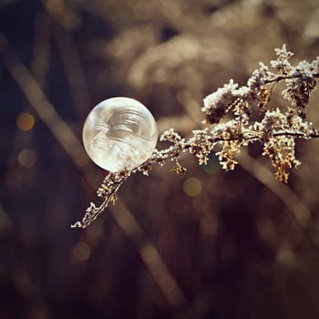 Frozen bubble in nature. A beautiful macro shot of nature in winter. Concept for environment, water and frost.