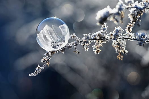 Frozen bubble in nature. A beautiful macro shot of nature in winter. Concept for environment, water and frost.