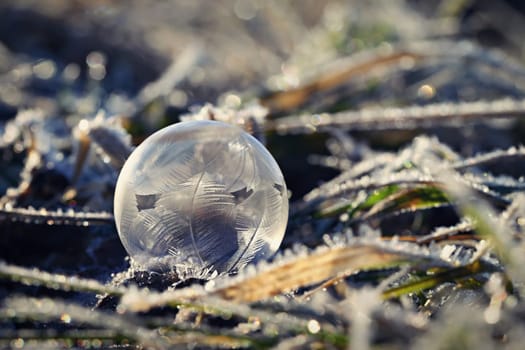 Frozen bubble in nature. A beautiful macro shot of nature in winter. Concept for environment, water and frost.