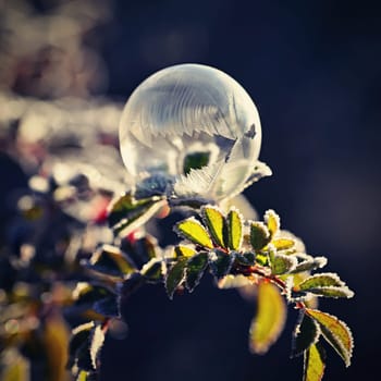 Frozen bubble in nature. A beautiful macro shot of nature in winter. Concept for environment, water and frost.