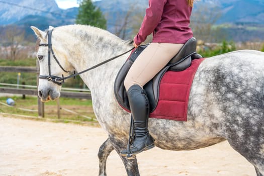 Cropped photo of the lower part of a woman with boots training with a horse
