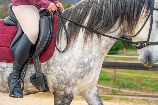Cropped photo of the lower part of the body of a woman with riding boots riding a horse outdoors