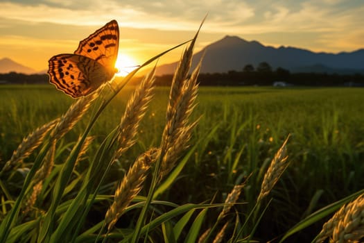 Early morning beautiful view of rice ears in a rice paddy and Guest On Paddy Field, AI Generative.