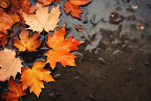 autumn leaves background, background image of fallen autumn leaves.