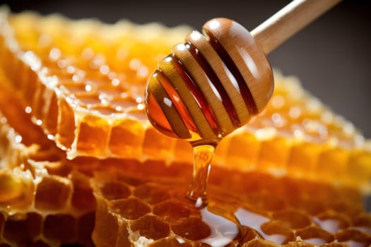 Honey, Close up product of honey and bee.