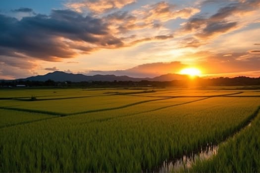 Beautiful Rice field landscape terraced.