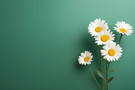 Beautiful chamomile daisy flower on neutral colour background Generative AI.