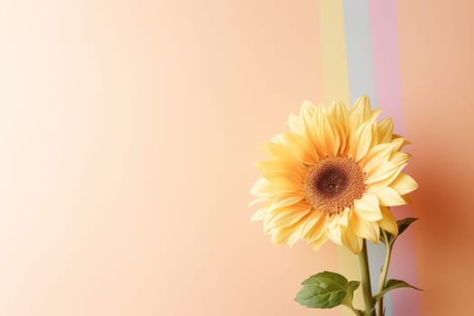 Beautiful sunflower on neutral colour background Generative AI.