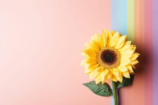 Beautiful sunflower on neutral colour background Generative AI.