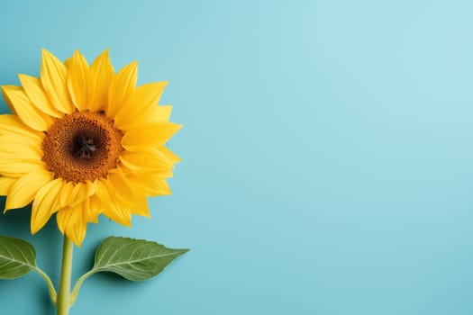 Beautiful sunflower on neutral colour background Generative AI.
