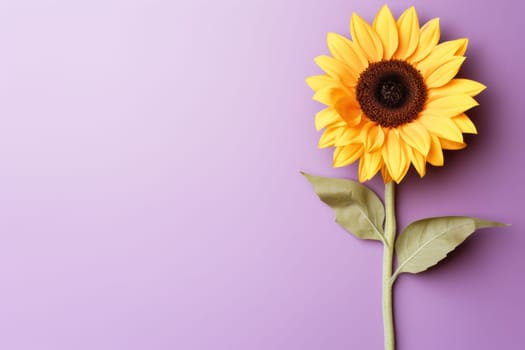 Beautiful sunflower on neutral colour background Generative AI.
