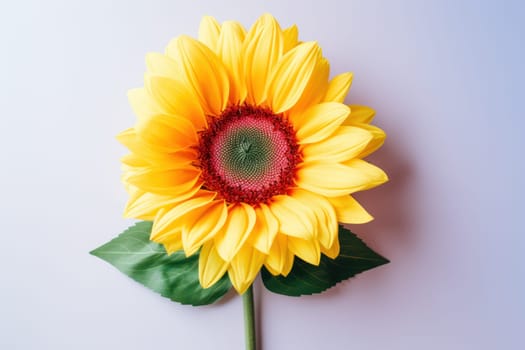 Beautiful sunflower on neutral colour background Generative AI.