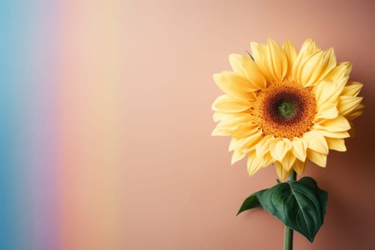 Beautiful sunflower on neutral colour background Generative AI.