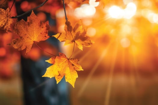 Beautiful autumn landscape Generative AI.