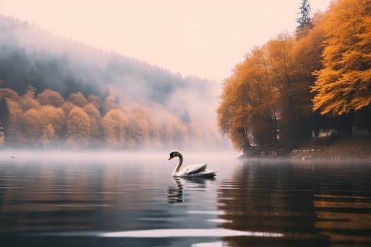 Swans floating on the lake beautiful landscape Generative AI.