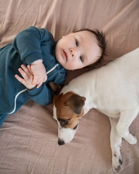 Vertical photo. Top view of Jack Russell Terrier dog and three month old boy lying on bed
